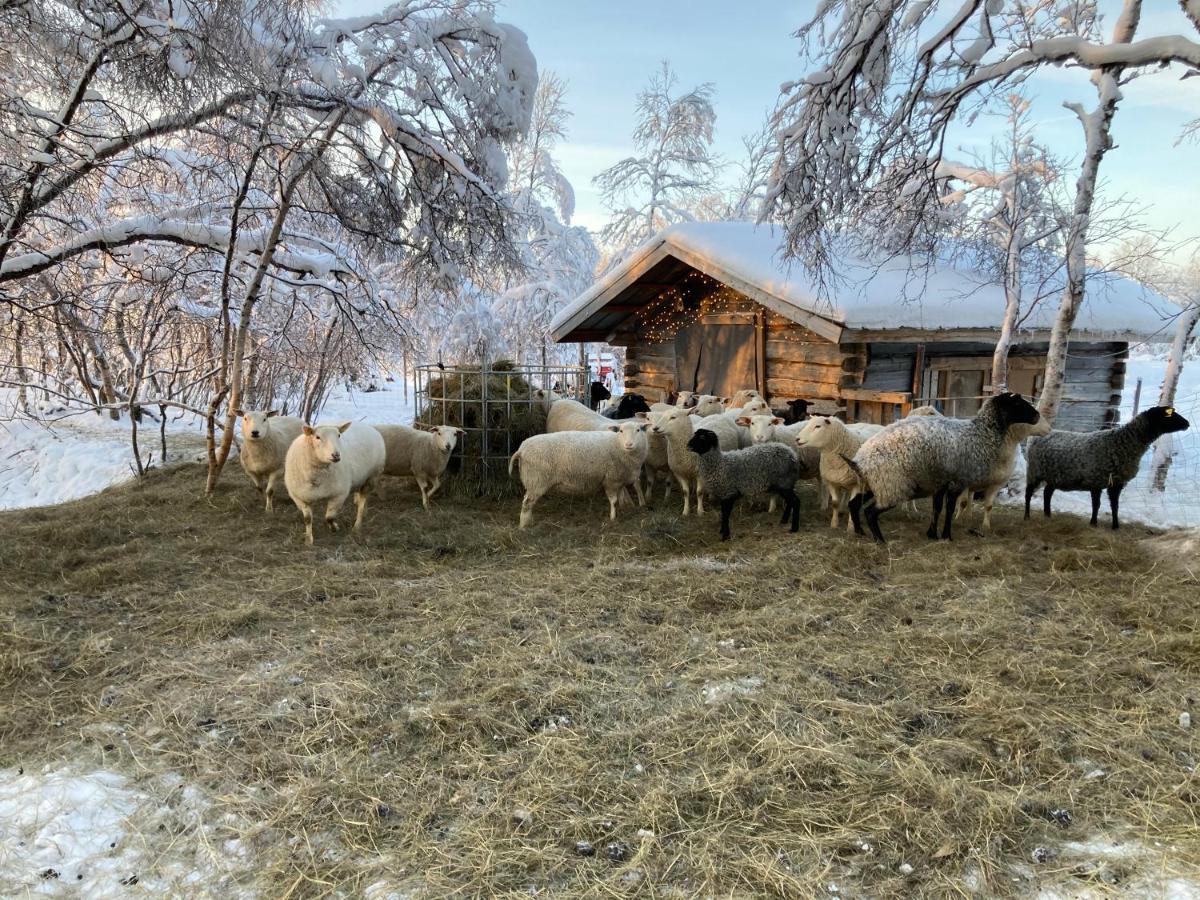 Kuttainen Lodge Karesuando Екстериор снимка